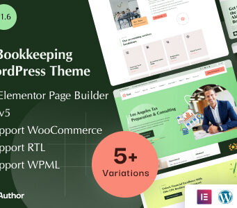 Fint – Steuer- und CPA-Buchhaltungsdienste Elementor WordPress Template