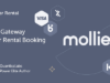 Mollie Add-on: Mietwagen-Buchungssystem