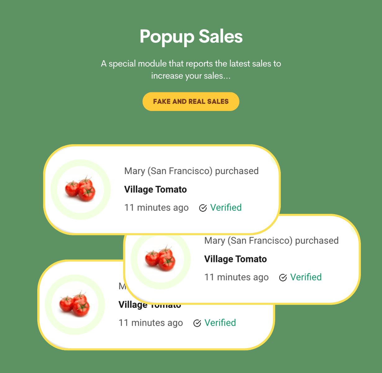 Agricoma - Organic Food Grocery WooCommerce Theme - 17