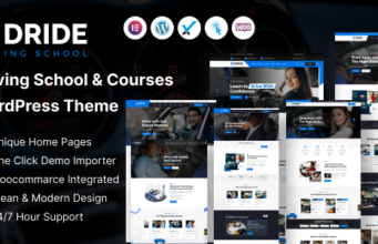 Dride – WordPress-Layout für Fahrschule und Kurse