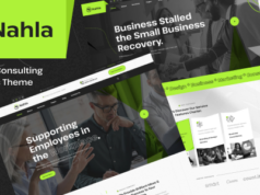 Nahla – WordPress-Layout für Unternehmensberatung
