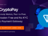 TON-The Open Network Krypto-Zahlungsunterstützung für CryptoPay