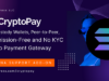 Unterstützung für Solana-Kryptozahlungen für CryptoPay