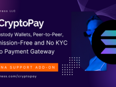 Unterstützung für Solana-Kryptozahlungen für CryptoPay
